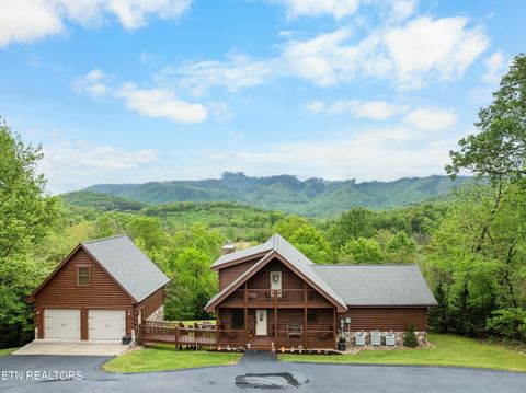 2732 Cayanne Rd Cosby TN 37722