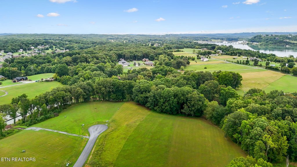 Photo of Lot 27 Sunset Blvd, White Pine, TN 37890 (MLS # 1299944)