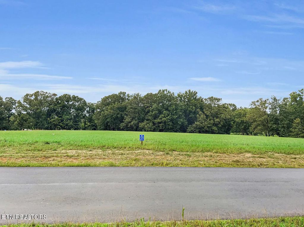 Photo of Lot 27 Sunset Blvd, White Pine, TN 37890 (MLS # 1299944)