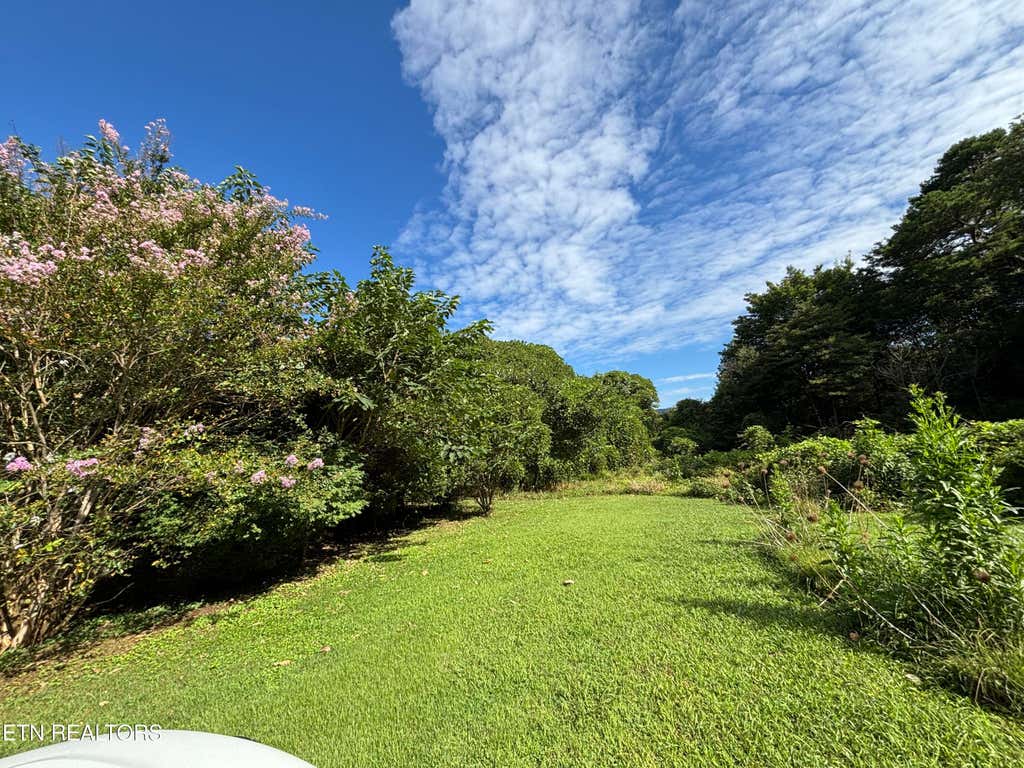Photo of 153 Old Kingston Hwy, Rockwood, TN 37854 (MLS # 1353082)