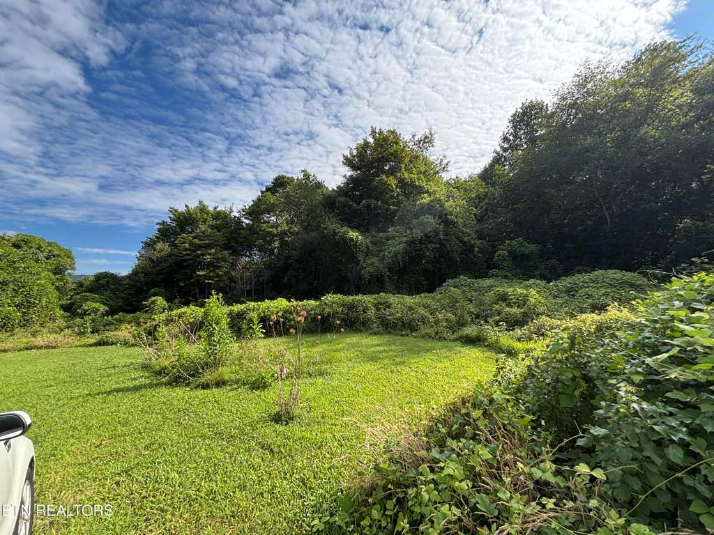 Photo of 153 Old Kingston Hwy, Rockwood, TN 37854 (MLS # 1353082)