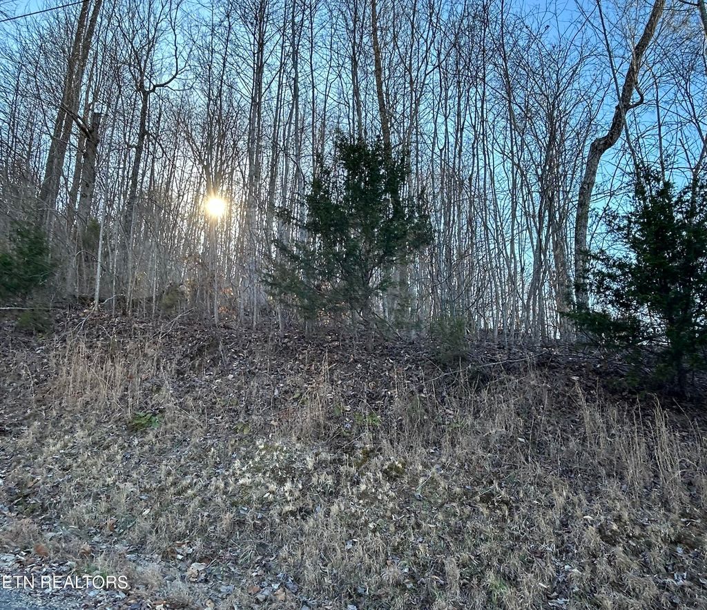 Photo of Lot 183 Eagle Cove Pkwy, Maynardville, TN 37807 (MLS # 1288319)