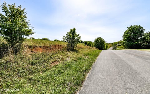 Tiny photo for Lot 96 Marble View Drive, Kingston, TN 37763 (MLS # 1335798)