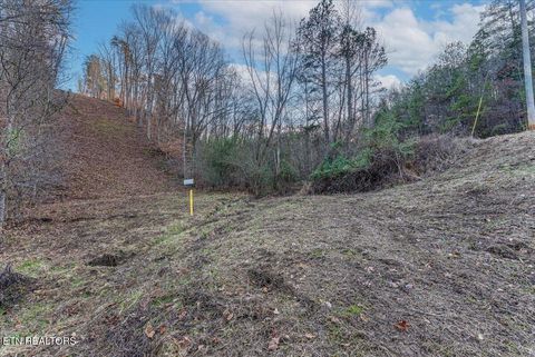 Tiny photo for 5 Lamplighter Way, Newport, TN 37821 (MLS # 1324447)