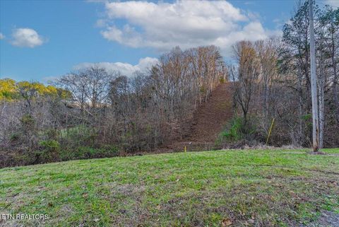 Tiny photo for 5 Lamplighter Way, Newport, TN 37821 (MLS # 1324447)