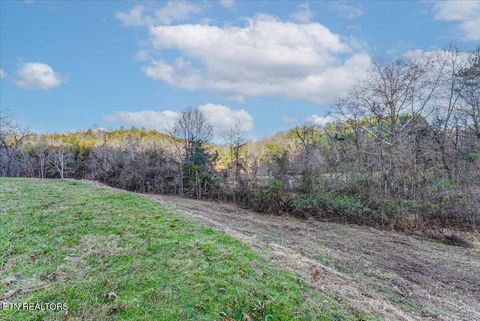 Tiny photo for 5 Lamplighter Way, Newport, TN 37821 (MLS # 1324447)