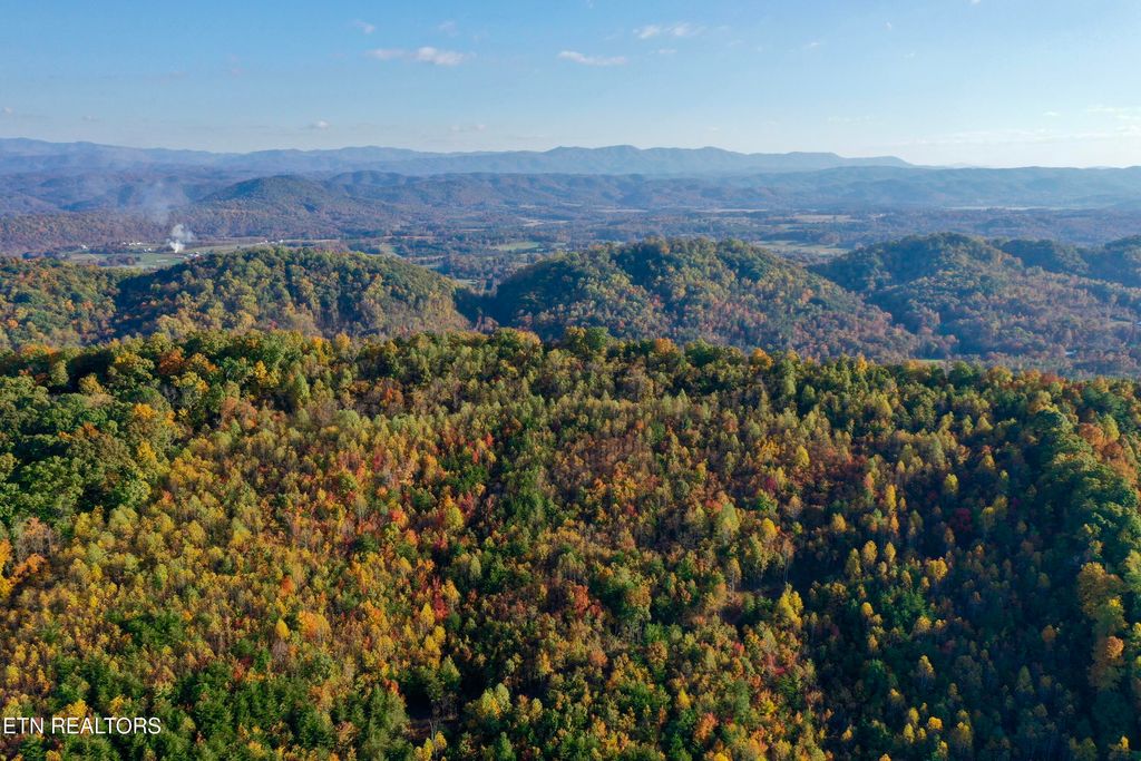 Photo of Laurel Creek Rd, Tellico Plains, TN 37385 (MLS # 1257232)