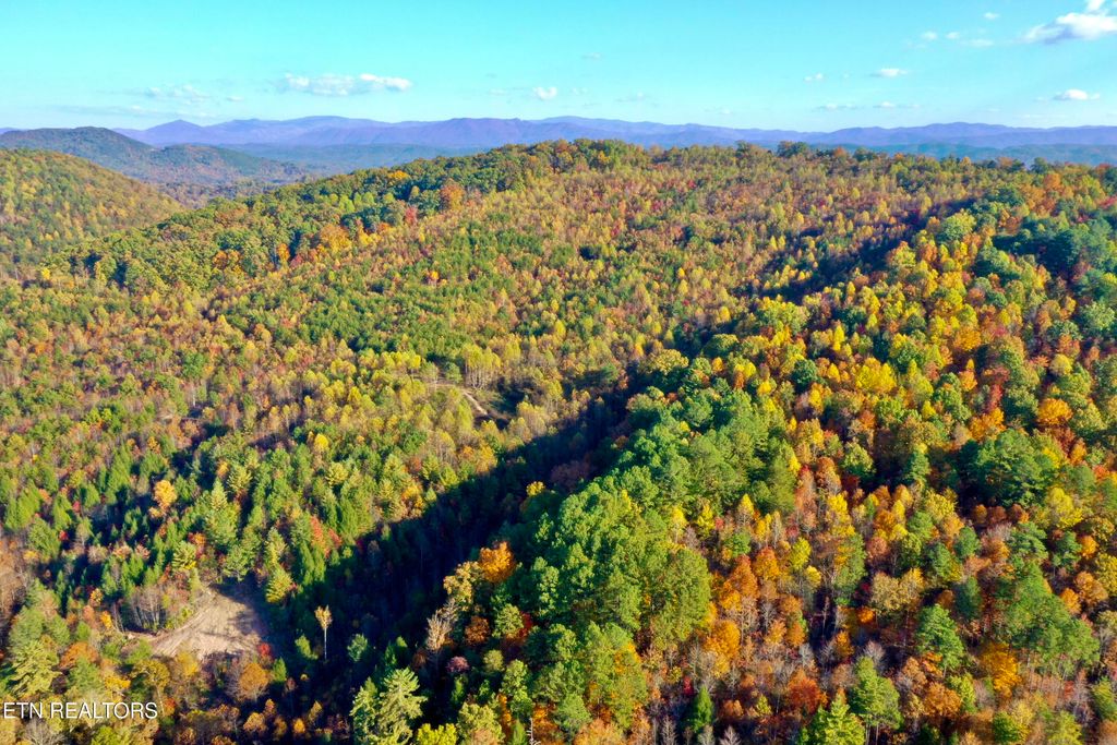 Photo of Laurel Creek Rd, Tellico Plains, TN 37385 (MLS # 1257232)