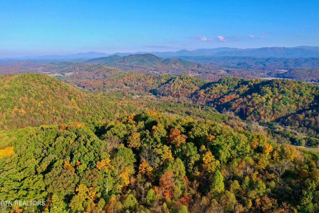 Photo of Laurel Creek Rd, Tellico Plains, TN 37385 (MLS # 1257232)
