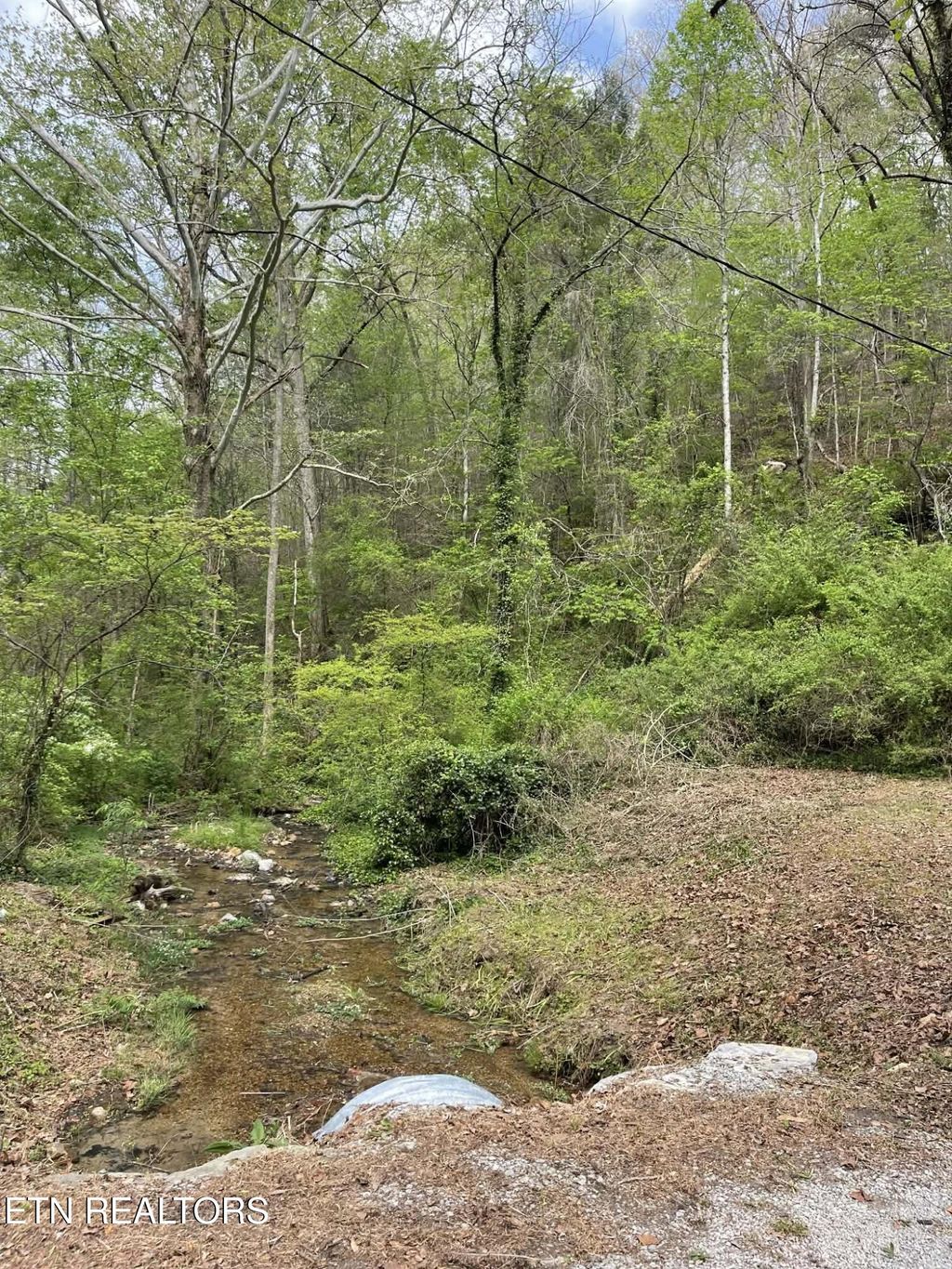 Photo of 1573 Demory Rd, LaFollette, TN 37766 (MLS # 1337184)