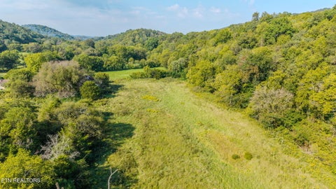 Tiny photo for 792 R H Ellis Rd, Dandridge, TN 37725 (MLS # 1355811)