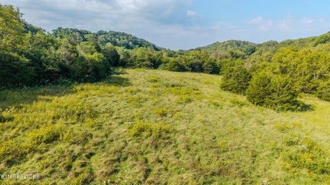 Photo of 792 R H Ellis Rd, Dandridge, TN 37725 (MLS # 1355811)