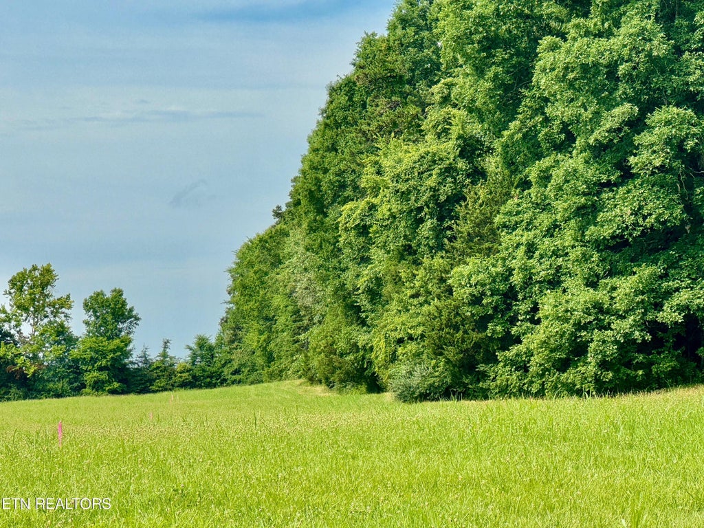 Photo of Robinson Lane, Decatur, TN 37322 (MLS # 1270827)