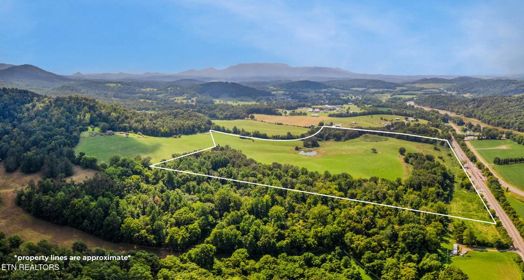 Photo of 0 Pig Trot Rd, Newport, TN 37821 (MLS # 1312846)