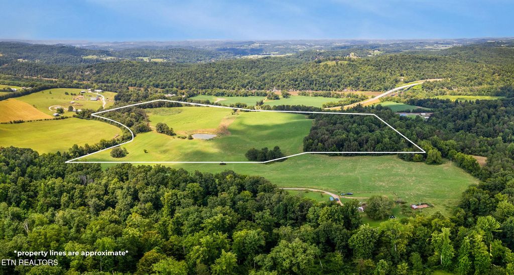 Photo of 0 Pig Trot Rd, Newport, TN 37821 (MLS # 1312846)