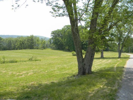 Photo 9 of 28 of Lots 148 & Houston Drive land