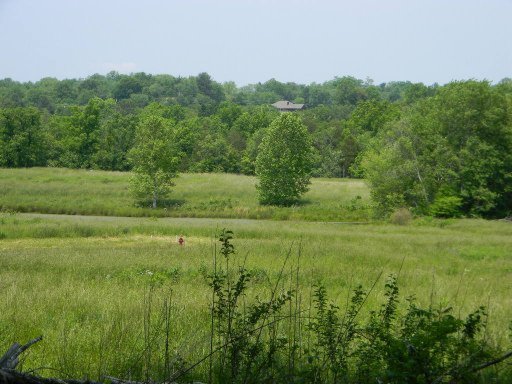 Photo 19 of 28 of Lots 148 & Houston Drive land