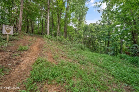 Tiny photo for 233 Highway 370, Luttrell, TN 37779 (MLS # 1349910)
