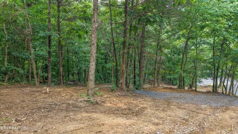 Tiny photo for 233 Highway 370, Luttrell, TN 37779 (MLS # 1349910)