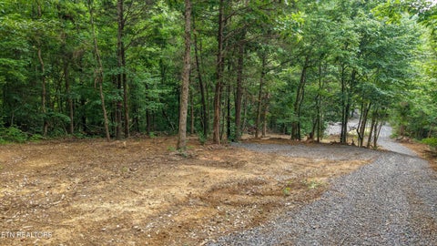 Tiny photo for 233 Highway 370, Luttrell, TN 37779 (MLS # 1349910)