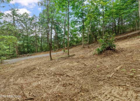 Tiny photo for 233 Highway 370, Luttrell, TN 37779 (MLS # 1349910)