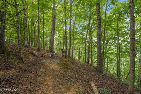 Tiny photo for 233 Highway 370, Luttrell, TN 37779 (MLS # 1349910)