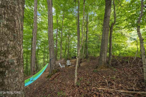 Tiny photo for 233 Highway 370, Luttrell, TN 37779 (MLS # 1349910)