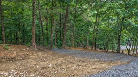 Tiny photo for 233 Highway 370, Luttrell, TN 37779 (MLS # 1349910)