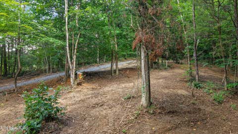 Tiny photo for 233 Highway 370, Luttrell, TN 37779 (MLS # 1349910)