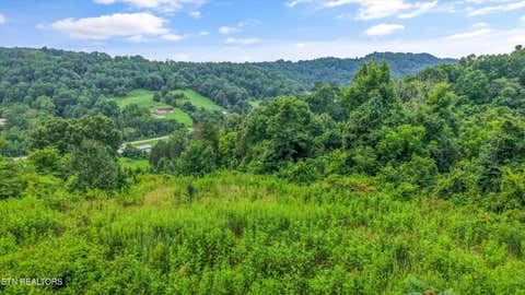 Tiny photo for 233 Highway 370, Luttrell, TN 37779 (MLS # 1349910)