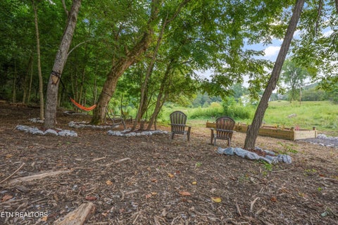 Tiny photo for 233 Highway 370, Luttrell, TN 37779 (MLS # 1349910)