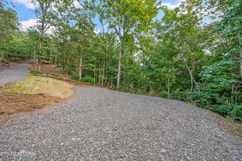 Tiny photo for 233 Highway 370, Luttrell, TN 37779 (MLS # 1349910)