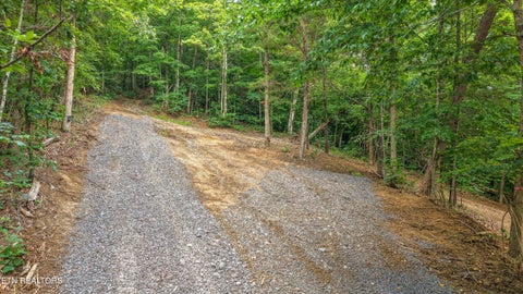 Tiny photo for 233 Highway 370, Luttrell, TN 37779 (MLS # 1349910)
