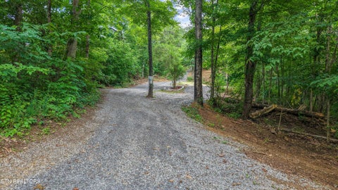 Tiny photo for 233 Highway 370, Luttrell, TN 37779 (MLS # 1349910)