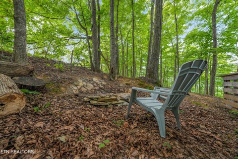 Tiny photo for 233 Highway 370, Luttrell, TN 37779 (MLS # 1349910)
