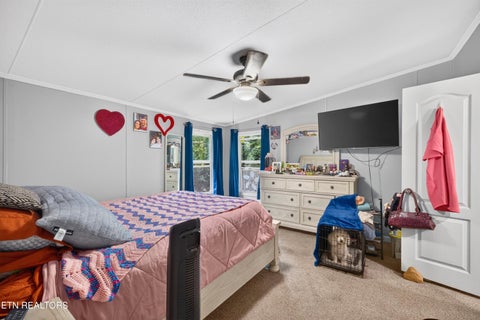 Tiny photo for 4221 Lindsey Gap Rd, Cosby, TN 37722 (MLS # 1359340)