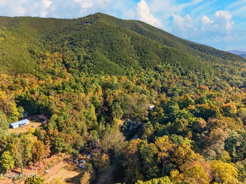 Tiny photo for 4221 Lindsey Gap Rd, Cosby, TN 37722 (MLS # 1359340)
