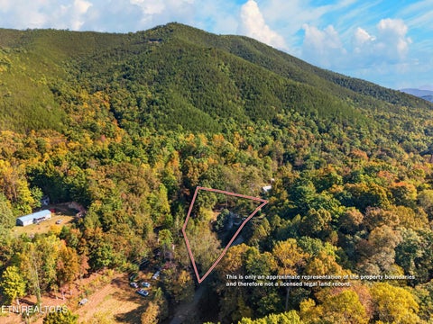 Tiny photo for 4221 Lindsey Gap Rd, Cosby, TN 37722 (MLS # 1359340)
