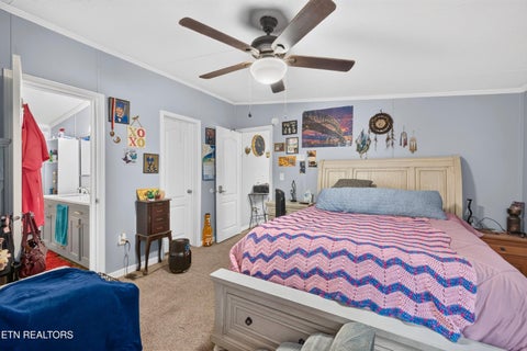 Tiny photo for 4221 Lindsey Gap Rd, Cosby, TN 37722 (MLS # 1359340)