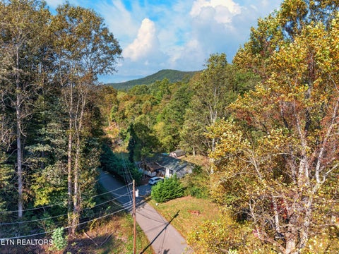 Tiny photo for 4221 Lindsey Gap Rd, Cosby, TN 37722 (MLS # 1359340)