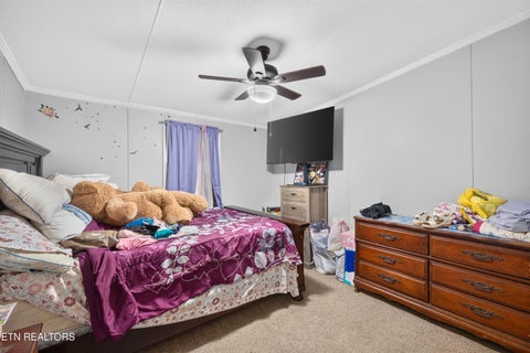 Tiny photo for 4221 Lindsey Gap Rd, Cosby, TN 37722 (MLS # 1359340)