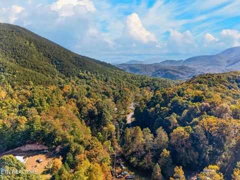 Tiny photo for 4221 Lindsey Gap Rd, Cosby, TN 37722 (MLS # 1359340)