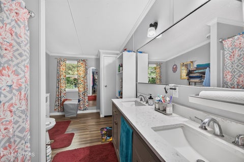 Tiny photo for 4221 Lindsey Gap Rd, Cosby, TN 37722 (MLS # 1359340)