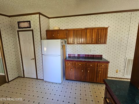 Tiny photo for 576 Mecca Pike, Tellico Plains, TN 37385 (MLS # 1323095)