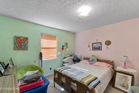 Tiny photo for 184 Alpha Rd, Newport, TN 37821 (MLS # 1322888)