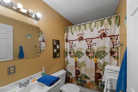 Tiny photo for 184 Alpha Rd, Newport, TN 37821 (MLS # 1322888)