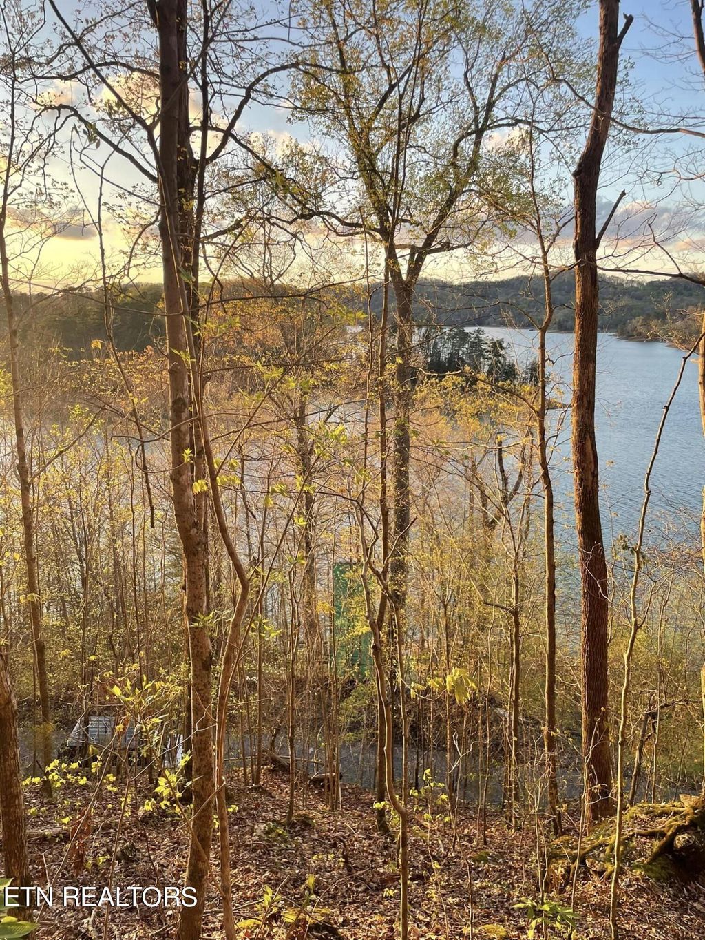 Photo of Hurricane Hollow Rd, Maynardville, TN 37807 (MLS # 1258686)