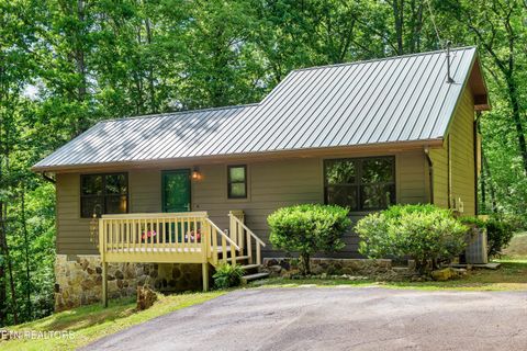 Photo of 3197 Lower River Rd, Georgetown, TN 37336 (MLS # 1339257)