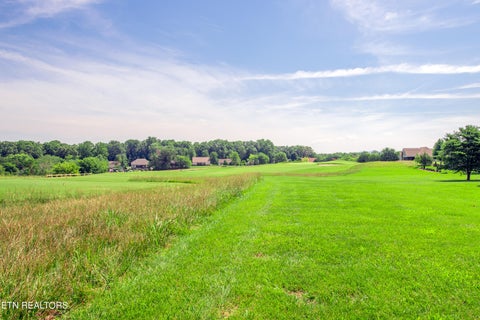 Tiny photo for 507 Kahite Tr, Vonore, TN 37885 (MLS # 1343814)