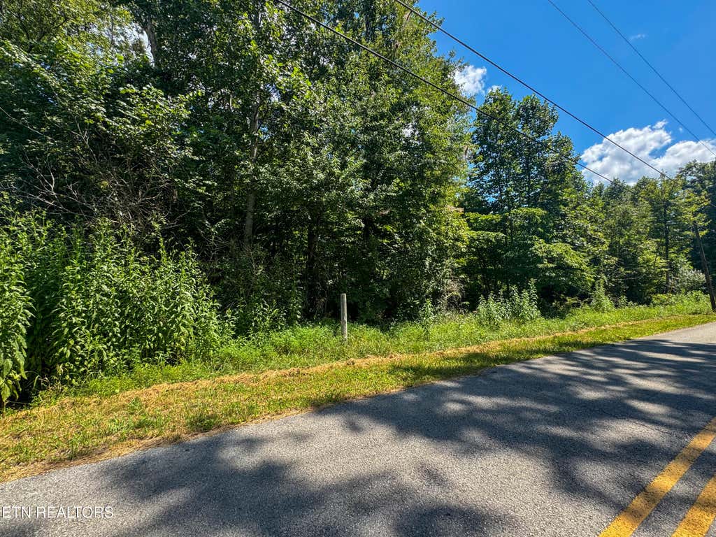 Photo of Burch Lane, Winfield, TN 37892 (MLS # 1312635)